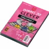 999 Games Dobbel Zo Clever: Challenge I