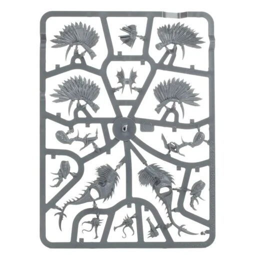 Warhammer: Age Of Sigmar - Warcry (Chaotic Beasts) -Bordspellen Winkel 1870056540