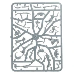 Warhammer: Age Of Sigmar - Warcry (Cypher Lords) -Bordspellen Winkel 1870056846