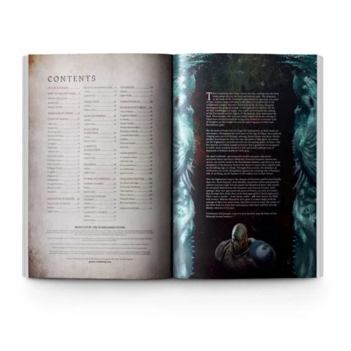 Warhammer: Age Of Sigmar - Warcry (Sentinels Of Order) -Bordspellen Winkel 1870542477