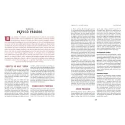 KULT: Bible Edition 2nd Version - 4th Edition Core Rules -Bordspellen Winkel 1900204266