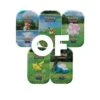 POKEMON Pokémon GO Mini Tin