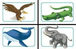 Concept Kids: Dieren -Bordspellen Winkel 669765162
